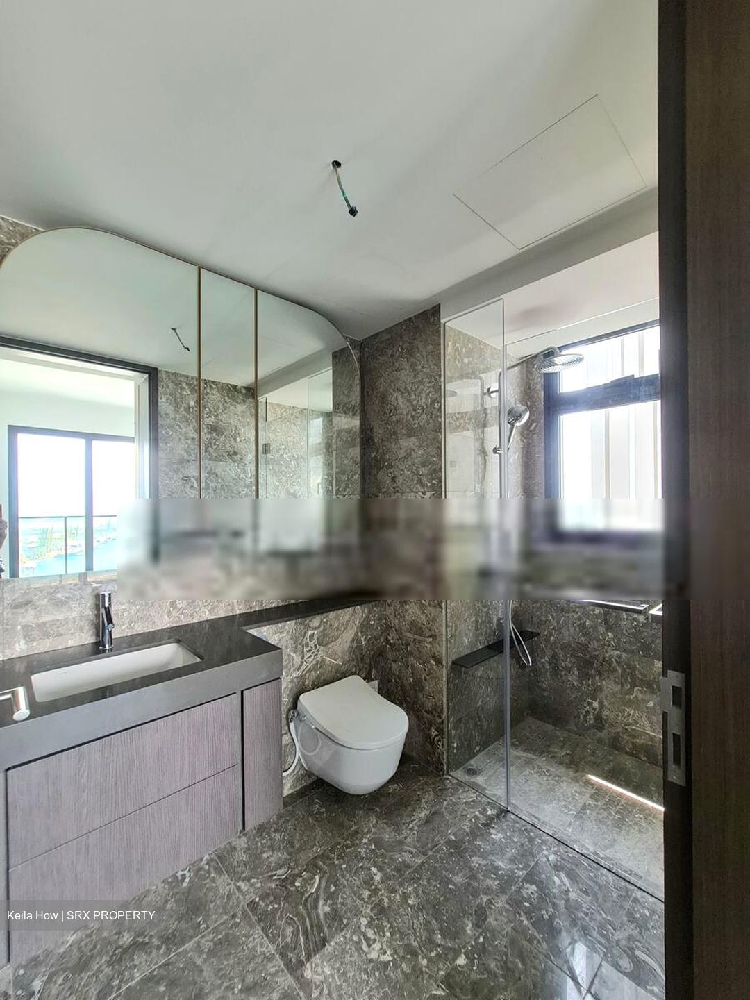 Avenue South Residence (D3), Apartment #477814521